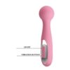 12-fonksiyonlu-usb-sarjli-masaj-wand-vibratoru-carina-pembe-06 - sexshopred | SexshopRed