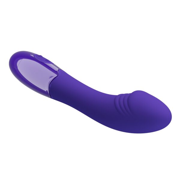 30-fonksiyonlu-usb-sarjli-g-nokta-vibratoru-elemental-mor-04 - sexshopred | SexshopRed