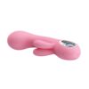 7-fonksiyonlu-5-hiz-kademeli-usb-sarjli-rabbit-g-nokta-vibratoru-chris-pembe-04 - sexshopred | SexshopRed