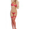 Fantezi-kirmizi-seksi-ic-giyim-sutyen-kilot-takim1-1 - sexshopred | SexshopRed